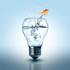 GUIDE TO CHALLENGE DRIVEN INNOVATION MANAGEMENT